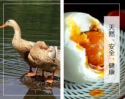 山東國(guó)丹食品開發(fā)有限公司